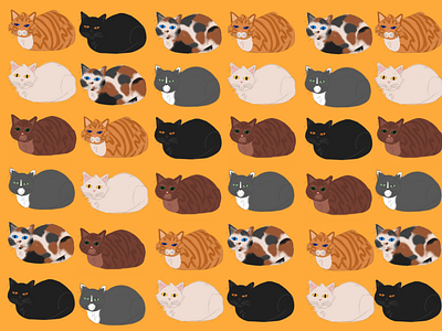 Cat Loaves