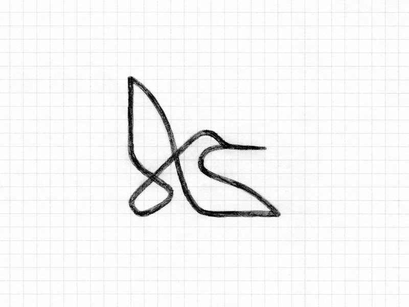 Hummingbird / sketch on the grid ️📐 by Usarek™ Studio on Dribbble