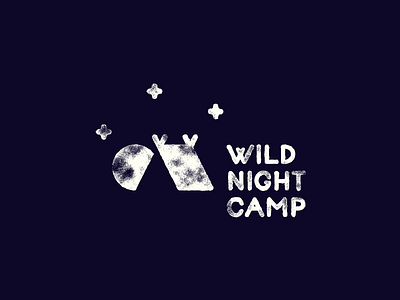 WILD NIGHT CAMP / logo design ⛺