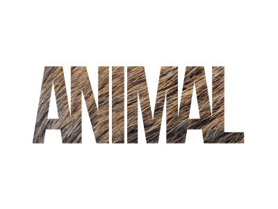 30 days with ANIMALS / All projects africa all animal animals bird days icon logo pictograms projects usarek wild