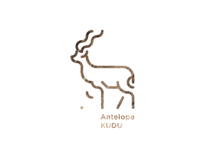 30 days with ANIMALS / Antelope Kudu