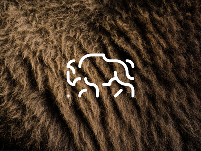 30 days with ANIMALS / Bison animals bison brown days forest fur icon logo mammal pictogram wild