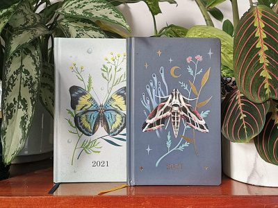 Butterfly calendar art book cover calendar cover cover