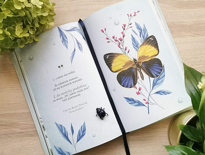 Butterfly calendar book butterfly design drawing faber castell illustration moth