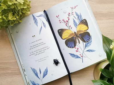 Butterfly calendar