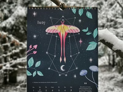 Butterfly calendar