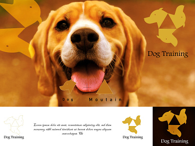 Dog Training Logo branding design graphic design illustration logo motion graphics nature pet