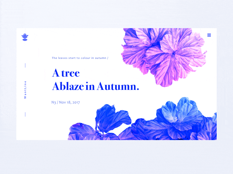 Autumn leaves autumn blue clean flat ui ux wantline web，animate，leaves，animation