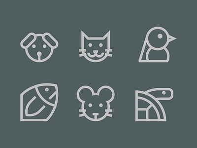 Pets design icon illustration illustrator ui vector