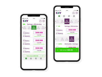 Mock up for SKY Airlines app branding flat icon minimal ui ux vector web website