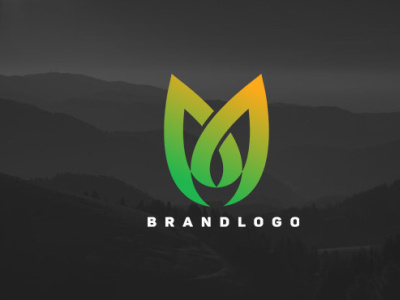 Logo Design branding graphic design logo