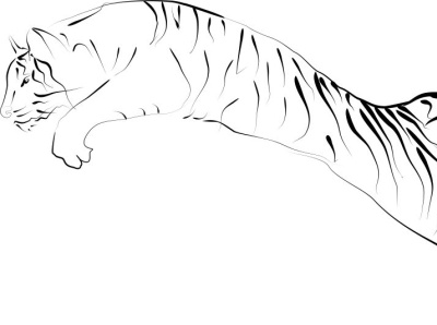 jumping tiger graphic design illustration vector