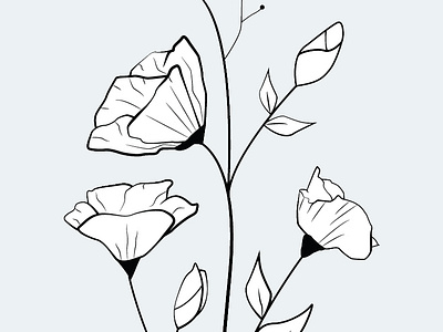 Flower Illustration