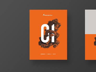 Dunckelfeld Magazine - Issue 01 / Cover branding corporate design identity print product