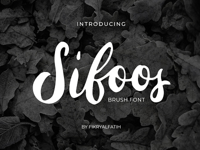 Sifoos Brush Font branding brush display font hand handwritten logo logotype script