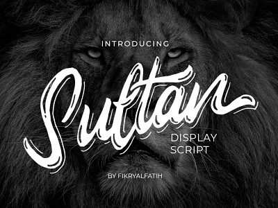 Sultan Display Script Font branding brush display font handwritten logo script