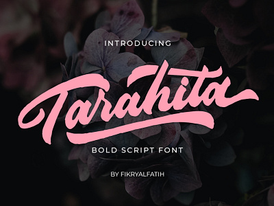 Tarahita Bold Script branding brush design display font handwritten logo script
