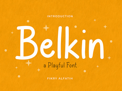 Belkin Playful Font