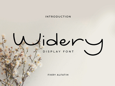 Widery Display Font