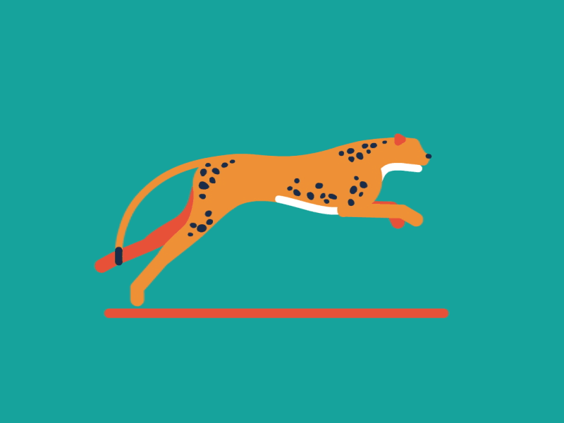 Cheetah animade animated gif animation bee grandinetti cheetah illustration roland garros sports tennis