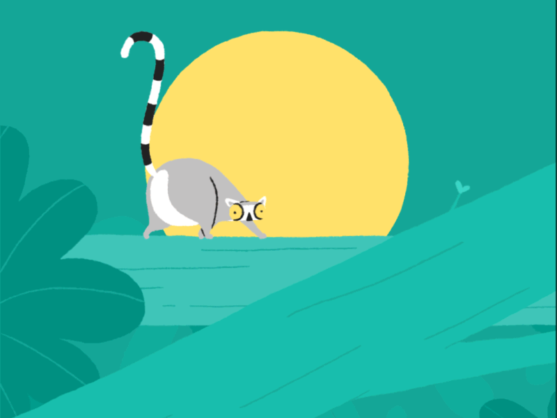 World Wildlife Day after effects animade animals animation day design illustration lemur wildlife world