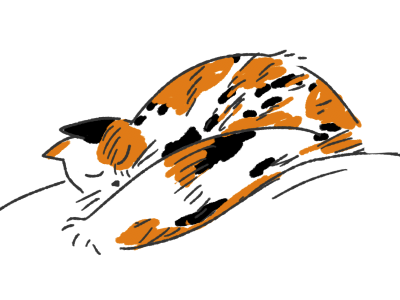 Cat Nap animade cat cat nap drawing kitten kitty lana simanenkova sketch sleeping