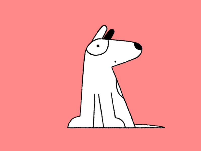 Happy Dog Day! animade animation animation studio dog dogs illustration london studio pupper