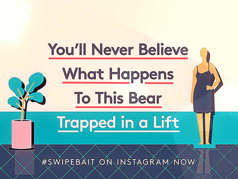 Swipebait—Bear 2d animade animation bear character lift swipebait