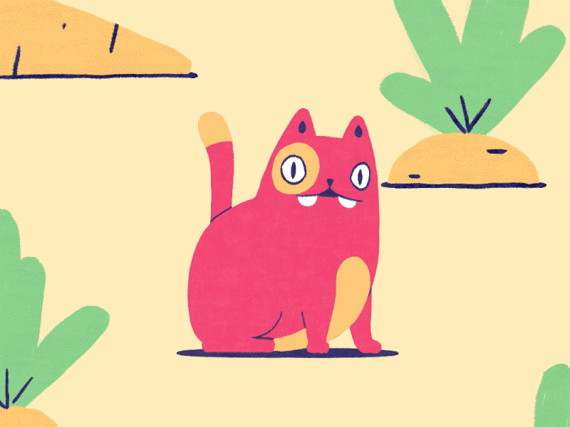 Surprise Cat 2d animade animation carrots cat character illustration rabbit surprise