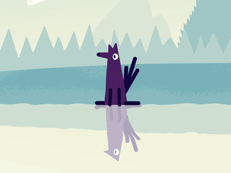 Fox 2d animade animal animation design drinking fox illustration lake tend woods