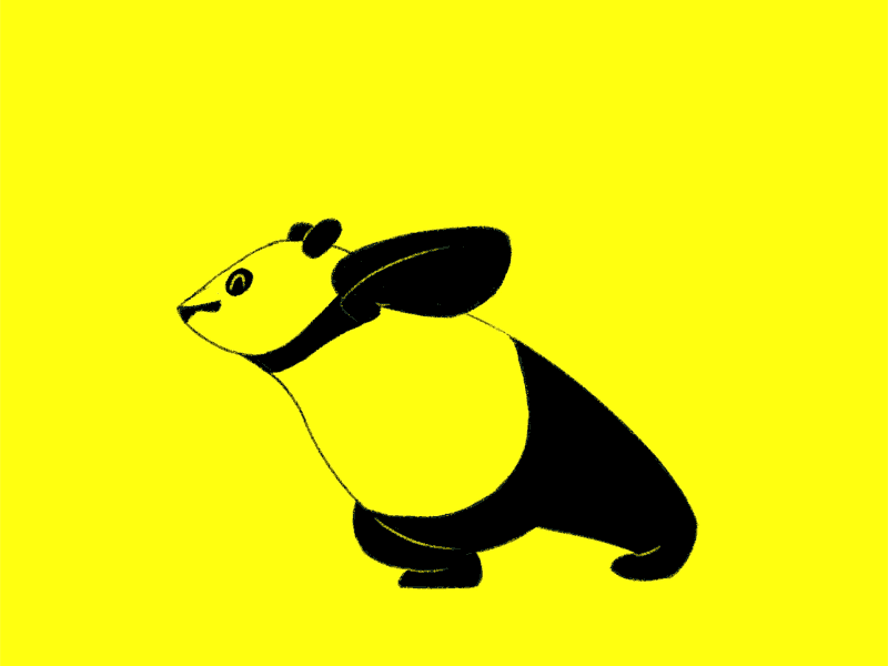 Dancing Panda by Animade on Dribbble