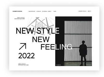 NEW STYLE/ NEW FEELING design typography ui ux
