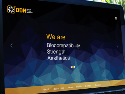 Website design for DDN design web