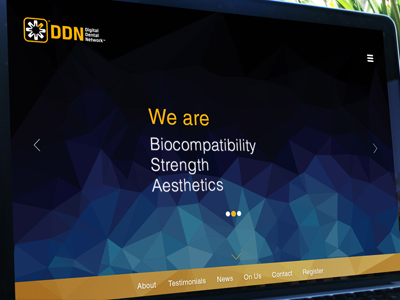 Website design for DDN