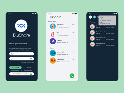 BlusShare app branding design typography ui ux