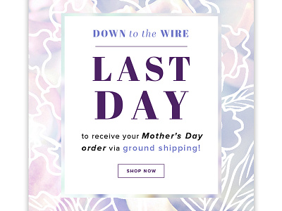Alex and Ani - Mother's Day Down to the Wire alex and ani digital email fashion jewelry mothers day promotion rhode island ui ui design