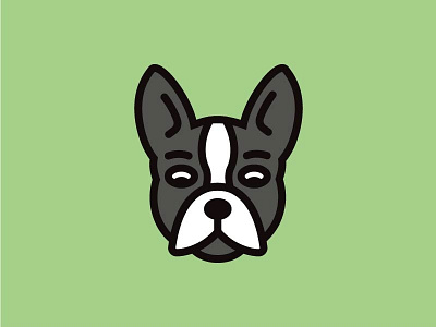 Boston Terrier Illustration boston terrier dog flat illustration simple thick lines color vector
