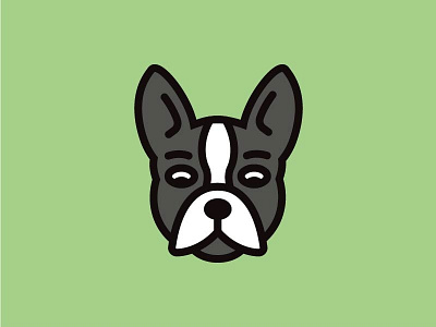 Boston Terrier Illustration