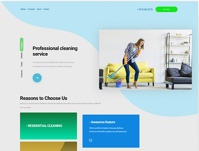 Website Design - Landing Page color design product website