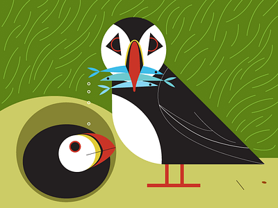 Puffin Postcard