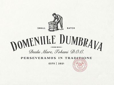 Domeniile Dumbrava Logo brand identity branding hand-drawn illustration retro logo sophisticated vintage vintage logo wine logo winery