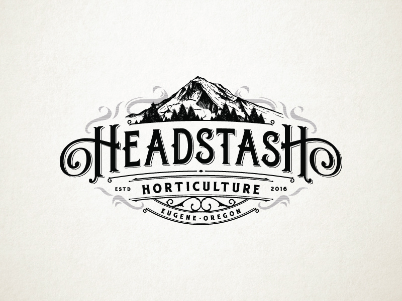 HeadStash Medical cannabis by Dusan Sol on Dribbble