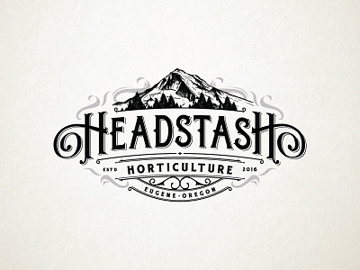 HeadStash Medical cannabis by GOOSEBUMPS on Dribbble