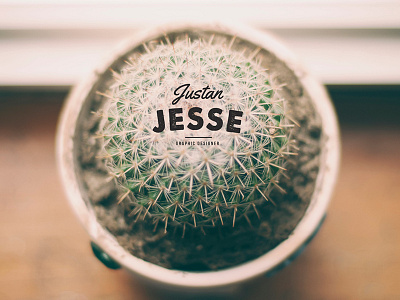 Jj Brand brand cactus desert design identity text