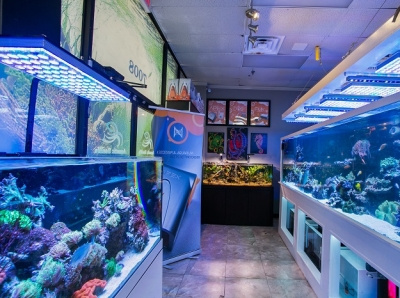 Shopping For Aquariums Online Has A Lot Of Benefits by Aquatic -Sealife ...