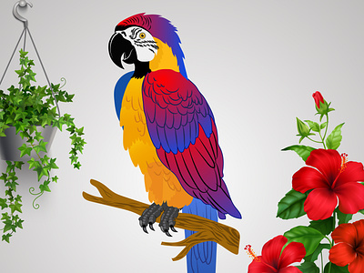 Mecow Bird Vector Art 3d adobe animation art background branding creative design graphic design illustration