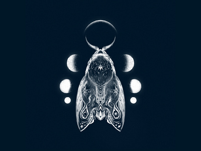 Celestial Mother Moth