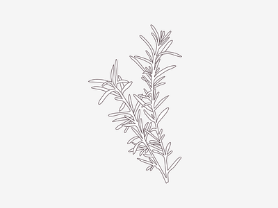 Rosemary