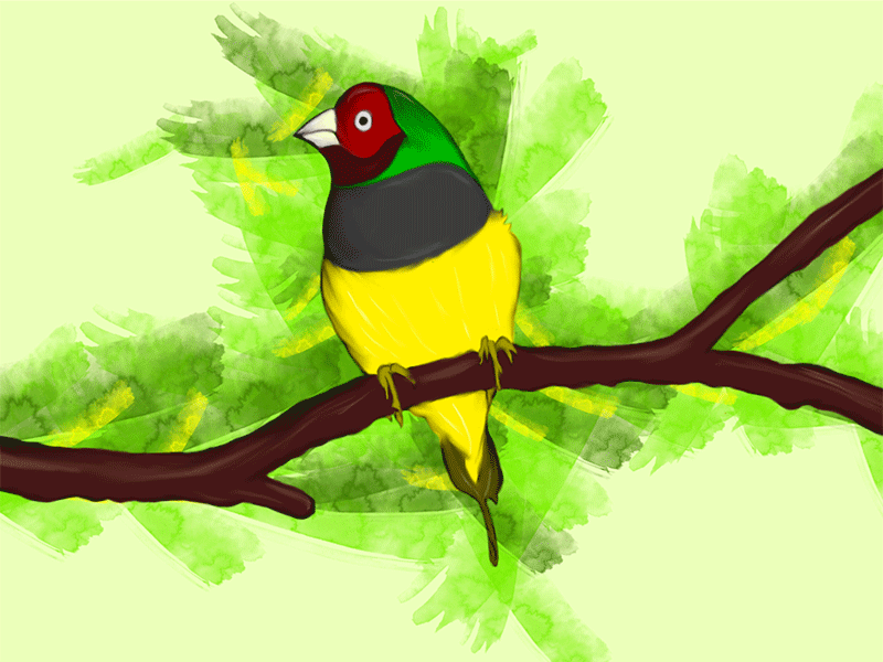 Bird Painting and Animation 2d animation adobe after effects adobe photoshop bird digital illustration digital painting drawing gif animation motion design motion graphics prototype