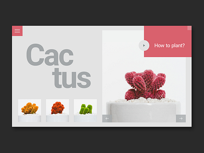 Mini Cactus cacti cactus interface landing page minimalist ui web webdesigner website